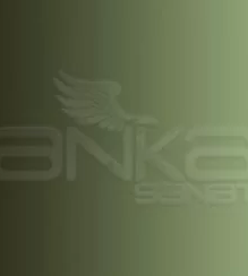 Graduate Yağlı Boya 200ml 352 Hookers Green