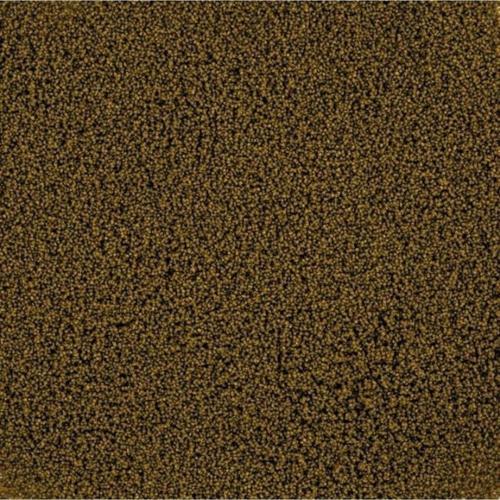 1 Kg Pro Defence-Xxs Boy Probiyotikli Granül Balık Yemi