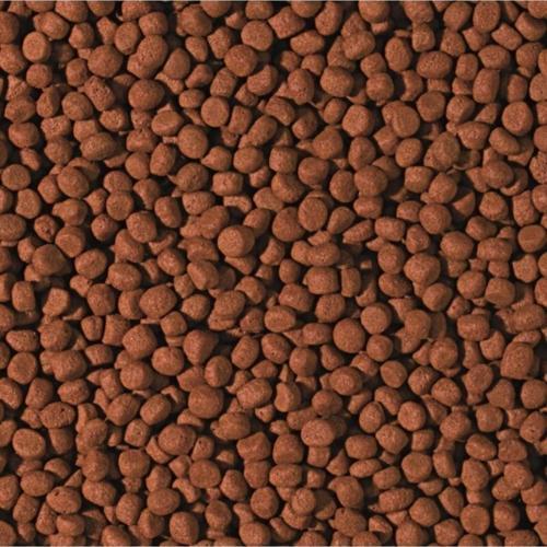1000 Gram Cichlid Carnivore Medium Pellet Büyük Granül Balık Yemi