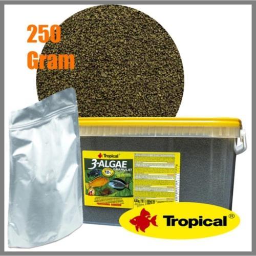 250 Gram 3-Algae Granulat-Granül Balık Yemi