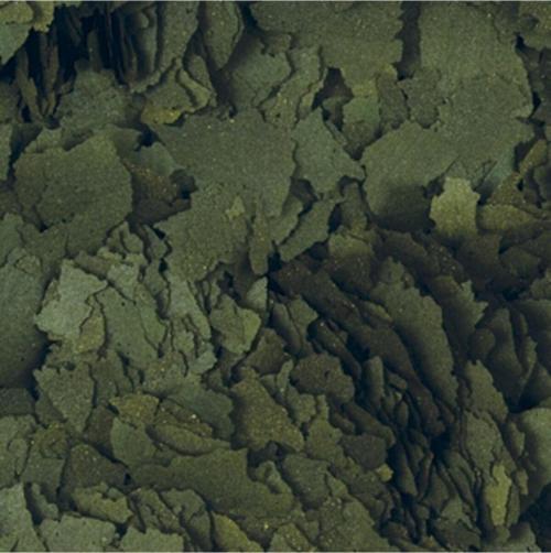 Süper Spirulina Forte 250 Gram Pul Yem