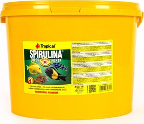 Süper Spirulina Forte 500 Gram Pul Yem