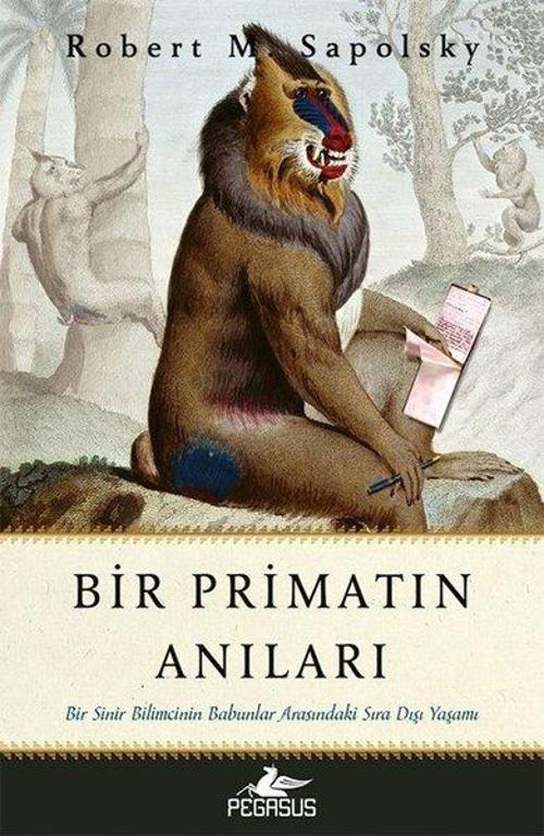 Bir Piramitin Anıları - Bir Sinir Bilimcinin Babunlar Arasındaki Sıra Dışı Yaşamı