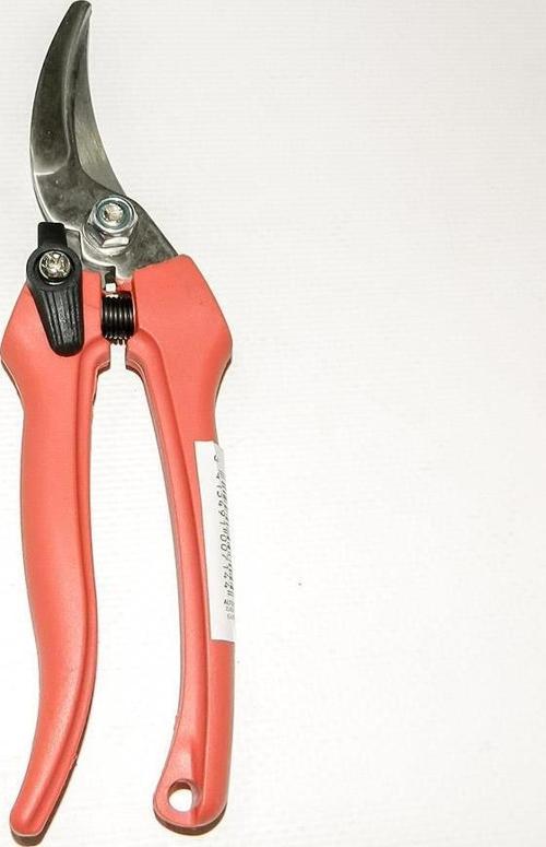 1260 Inox Çiçek Meyve Hasat Makası 190mm