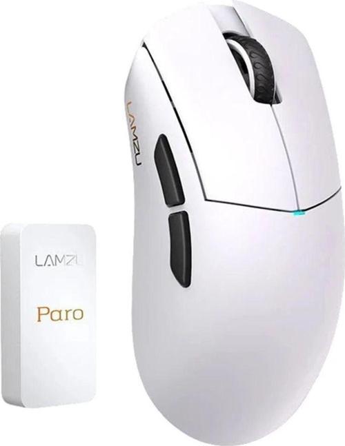 Paro Aurora 8K Wireless Gaming Mouse