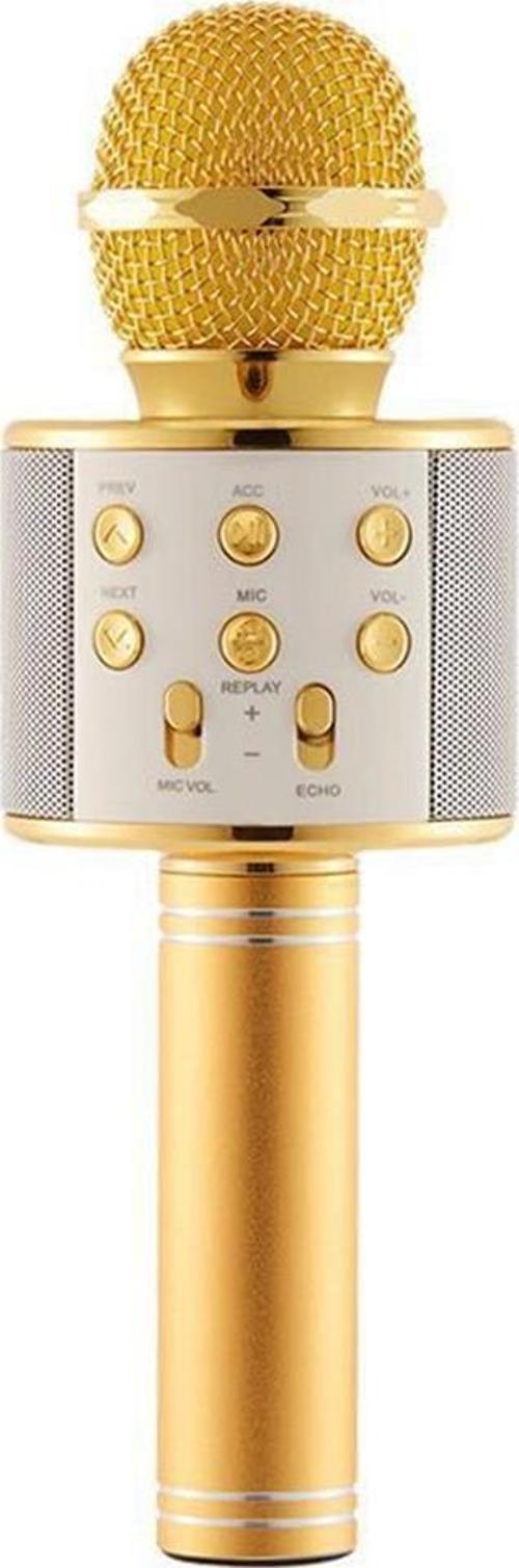 WS-858 Karaoke Mikrofon Aux Usb Ve Sd Kart Girişli Bluetooth Hoparlör Gold