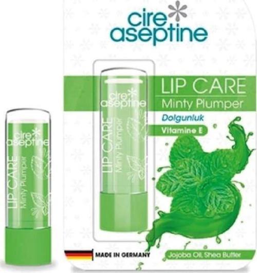 Lip Care Nane Ferahlığı Dudak Nemlendirici 4,5 G