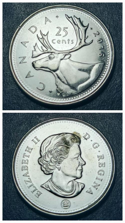 Escoines 39963689915d674cf8 Kanada 25 Cent 2016 ÇİL Nikel kaplama çelik Para