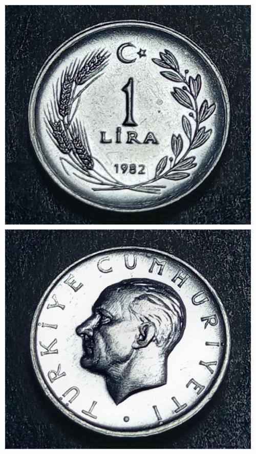 Escoines 39963689922ad3c110 1982 1lira çil Aliminyum para