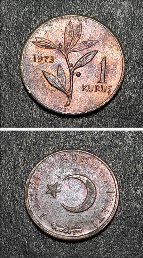 Escoines 39963689924f9d2c38 1973 1kuruş çt %97 Bakır para