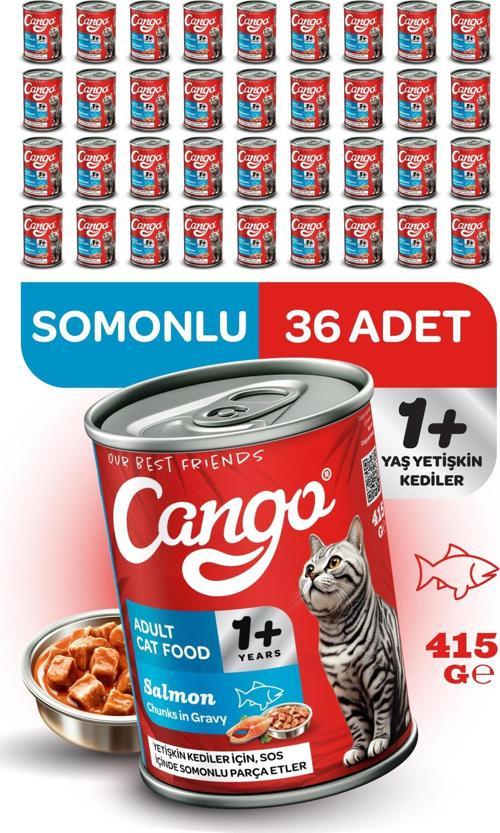 Yetişkin Yaş Kedi Maması Somonlu 415Gr 36Lı