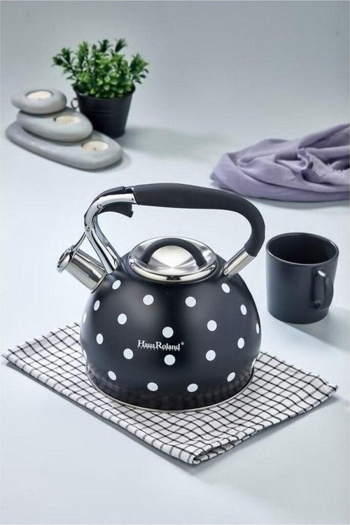 Hausroland Clipso 3 Litre Puantiyeli Nostalji Düdüklü Suluk Tipi Çaydanlık