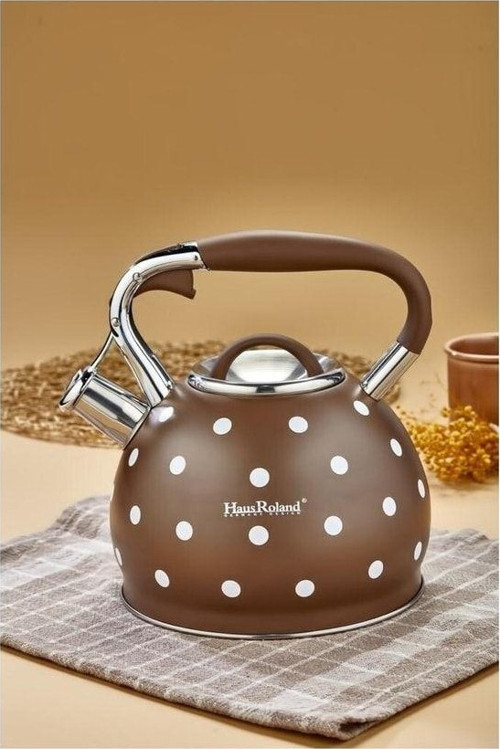 Hausroland Clipso 3 Litre Puantiyeli Nostalji Düdüklü Suluk Tipi Çaydanlık