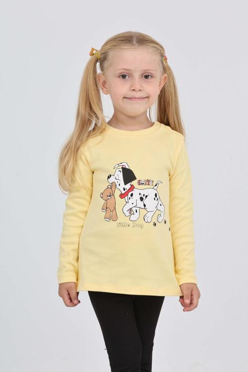 Toontoy Kız Çocuk Köpekli Ayı Baskılı Sweatshirt