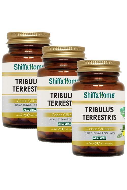Tribulus Terrestris Çoban Çökerten 60 Kapsül X 3 Adet