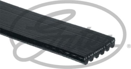 6Pk1718 Kanallı Kayış Ford Vw Audı Opel