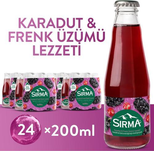 B Vitaminli Karadut & Frenk Üzümü Aromalı Doğal Maden Suyu 200 ML X 24 Adet