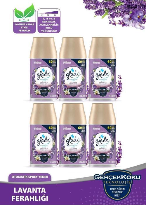 Oda Kokusu Yedek Sprey Lavanta 6 X 269 Ml./175Gr.