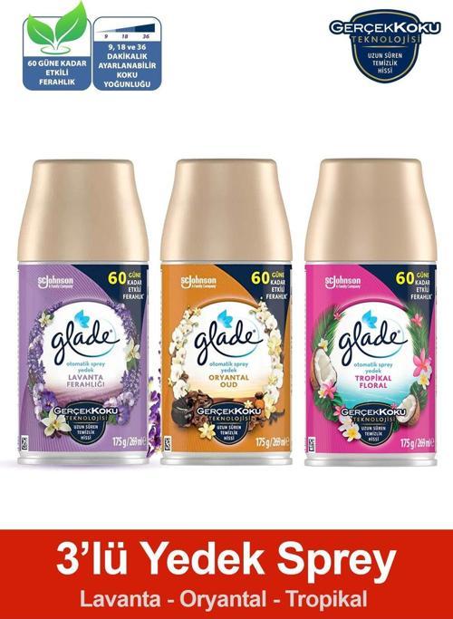 Oda Kokusu Yedek Sprey Lavanta Ferahlığı, Oryantal, Tropikal Floral, 3 X 269 Ml./175Gr.