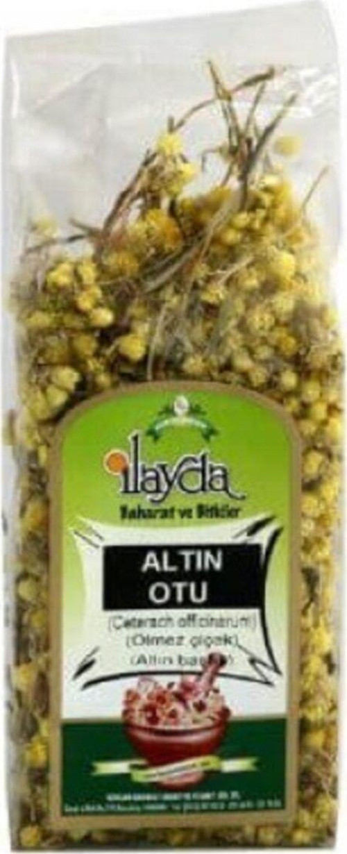 Ilayda Altınotu