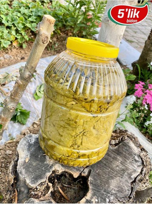 2024 Mahsul Doğal Katkısız Narince Asma Üzüm Yaprağı 5 Kg