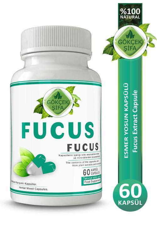 Fucus Kapsül (Fucus Capsule)