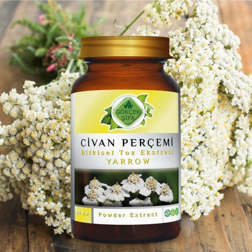Civan Perçemi Toz Ekstresi 80 Gr. Cam Kavanoz