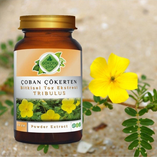 Çoban Çökerten Toz Ekstresi 80 Gr. Cam Kavanoz