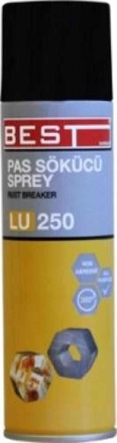 Pas Sökücü 250 Ml