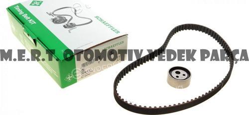 İNA 530001810 - 7701472726 Renault Triger Seti 95 Diş
