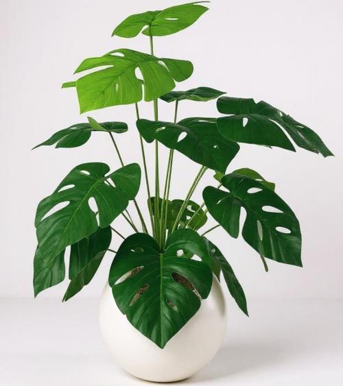 Yapay Çiçek Salon Bitkisi Monstera 70cm 18 Yaprak Beyaz Küre Saksıda