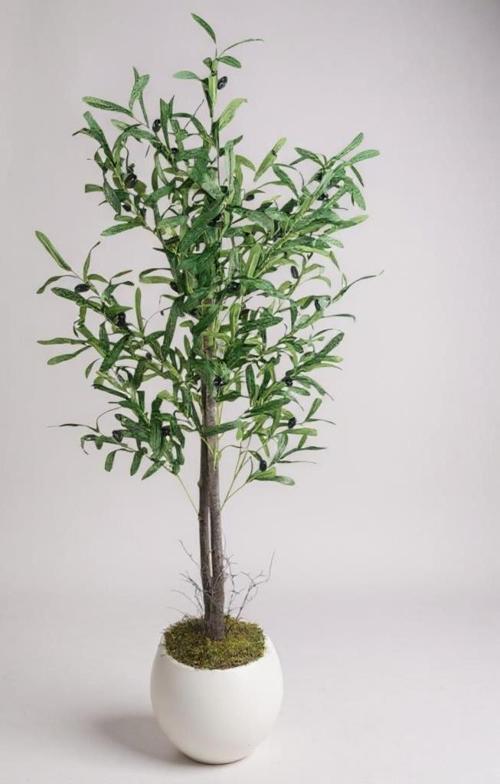 Yapay Zeytin Ağacı 130cm İki Gövdeli Beyaz Küre Saksıda Salex Doğal Gerçek Görünümlü Yapay Ağaç