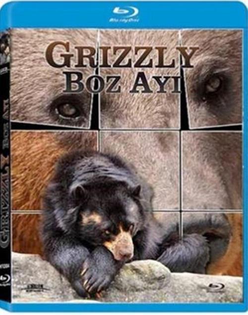 Boz Ayı - Grizzly ( Türkçe Dublaj ) ( Ambalajında - Sıfır ) Blu-Ray Disc