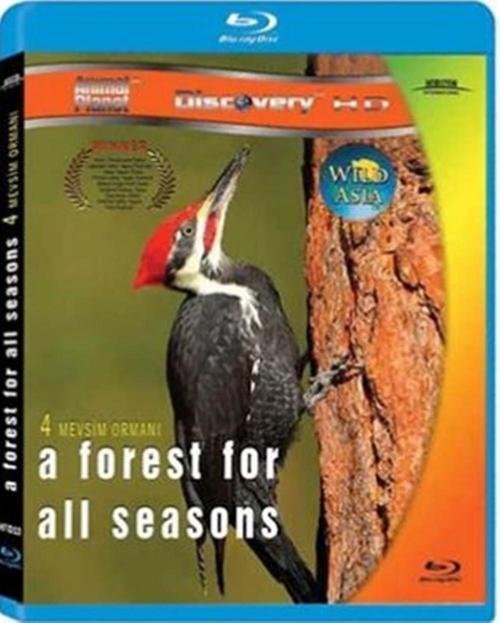 Dört Mevsim Ormanı - A Forest For All Seasons ( Türkçe Dublaj ) ( Ambalajında - Sıfır ) Blu-Ray Disc