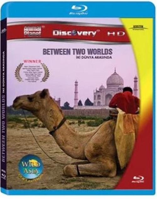 İki Dünya Arasında - Between Two Worlds ( Türkçe Dublaj ) ( Ambalajında - Sıfır ) Blu-Ray Disc