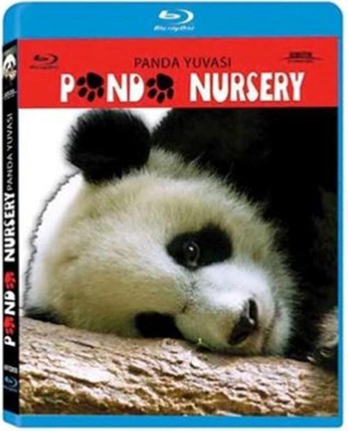 Panda Yuvası - Panda Nursey ( Türkçe Dublaj ) ( Ambalajında - Sıfır ) Blu-Ray Disc