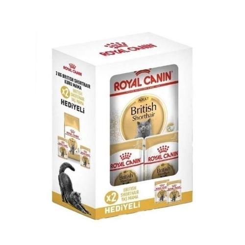British Shorthair Adult Yetişkin Kedi Maması 2 Kg + 2 Konserve Hediyeli