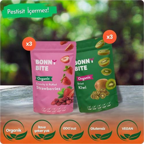 Organik Çıtır Çilek & Kurutulmuş Kivi 6'Lı Paketi