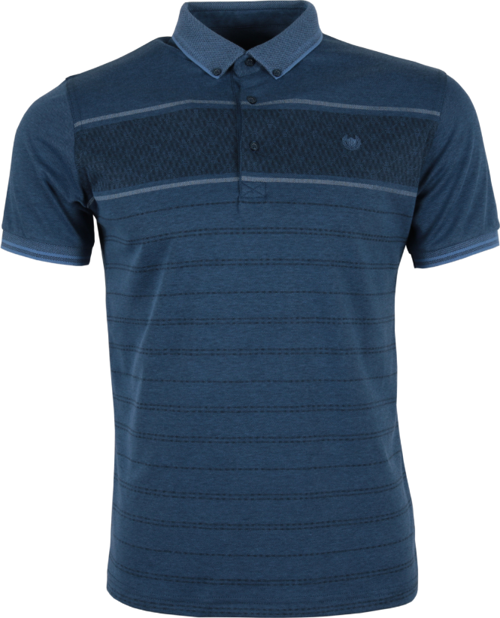 Erkek Tişört Polo Yaka Normal Kesim Desenli RAR01319