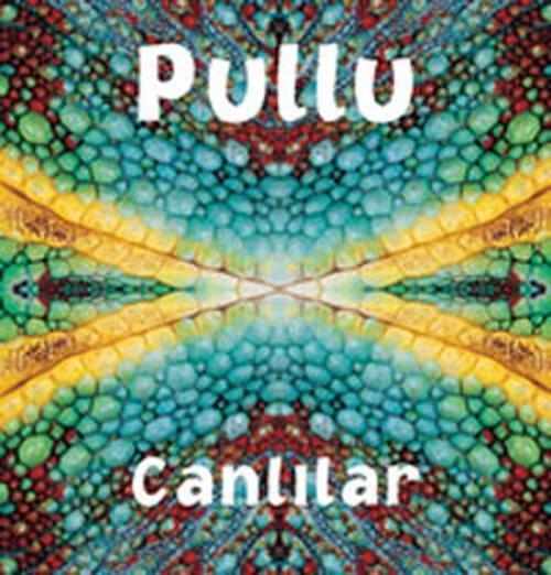 Pullu Canlılar