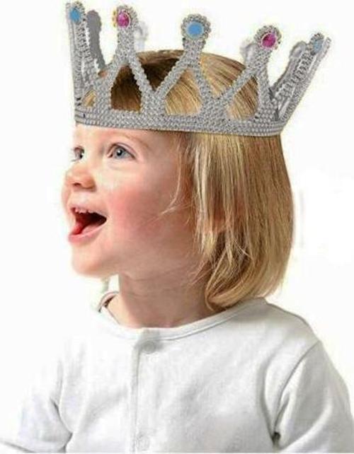 Gümüş Renk Çocuk ve Yetişkin Uyumlu Kraliçe Tacı Prenses Tacı 8X25 cm (4401)