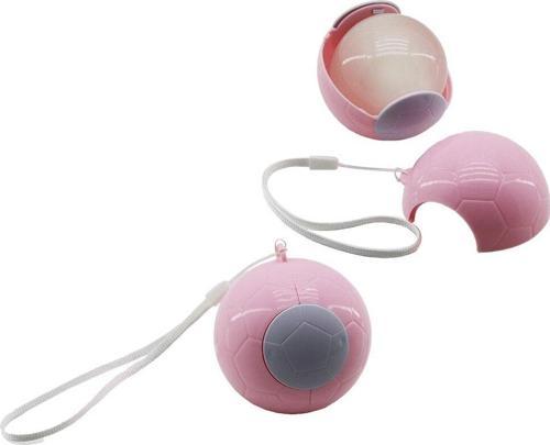 TOP MODELİ YAPIŞKANLI TÜY TOPLAYICI RENKLİ PLASTİK TOP TAŞIMA İPLİ (4401)