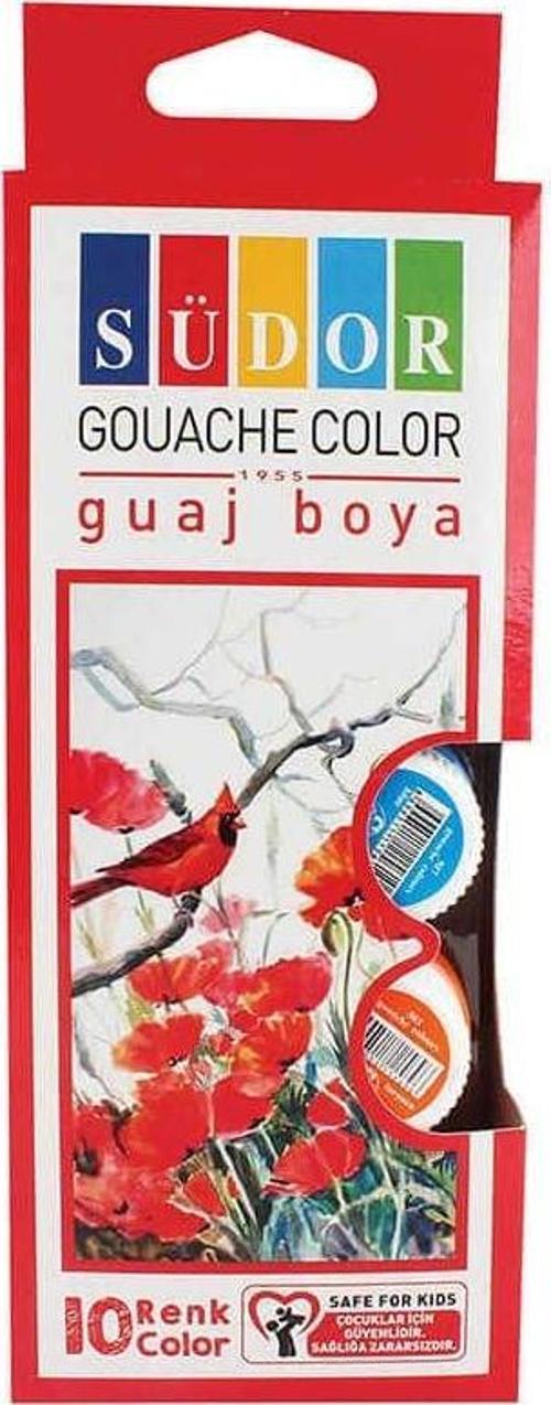 522 Guaj Boya Seti 10'lu Cam Şişe