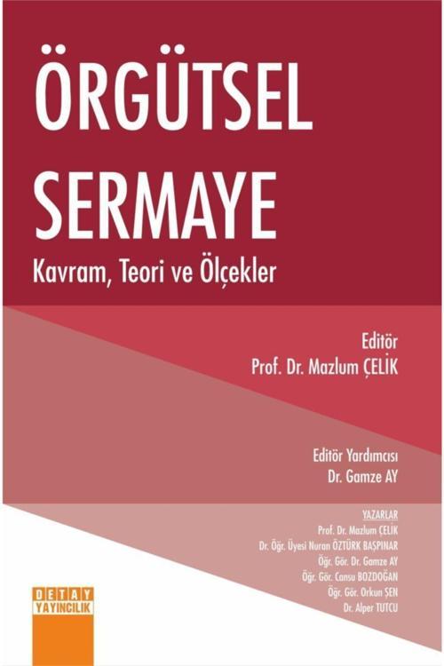 Örgütsel Sermaye Kavram, Teori Ve Ölçekler - Mazlum Çelik