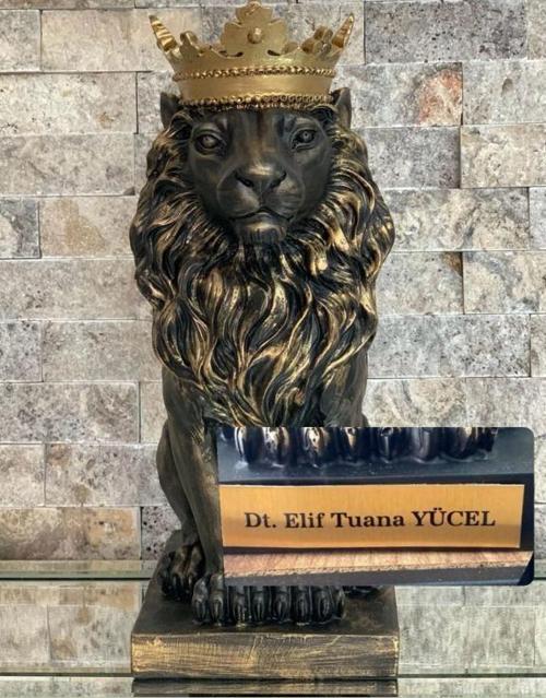 Aslan Kral Biblo Kişye Özel, İsim Veya Marka Yazılır