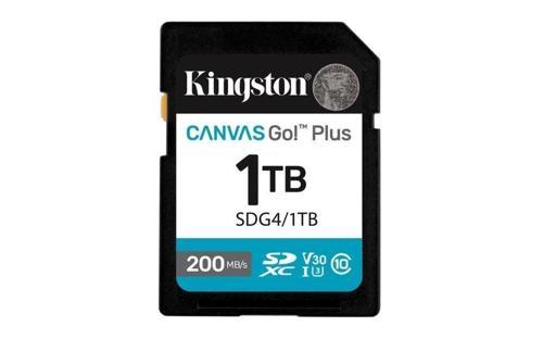 Sdg4-1Tb 1Tb Sdxc Canvas Go Plus Gen4 200Mb-S C10 Uhs-İ U3 V30 Hafıza Kartı