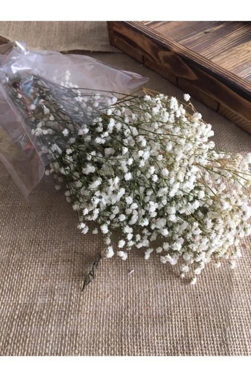 Doğal Kuru Çiçek Kurutulmuş Cipso Otu