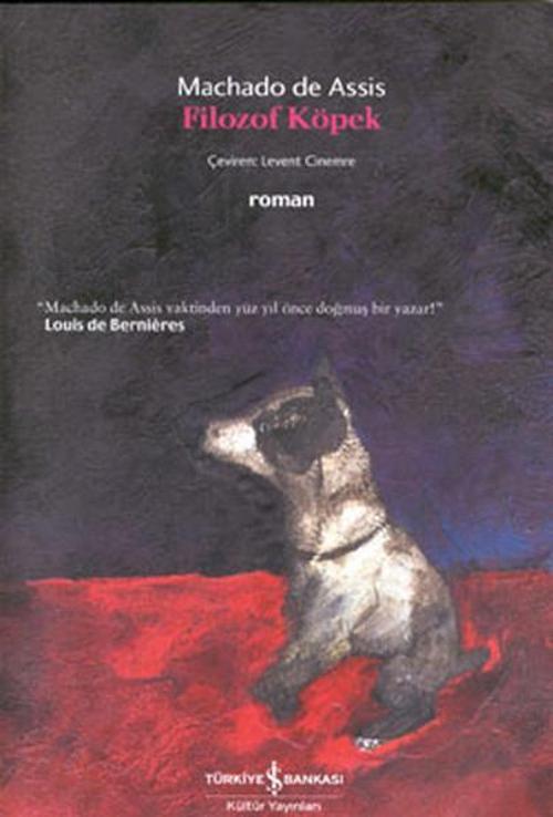 Filozof Köpek