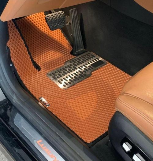 Atlas Oto Bmw 5.20 Araca Özel Eva Paspas