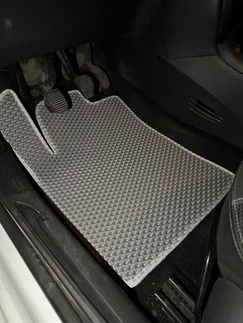 Citroen C3 Eva Paspas